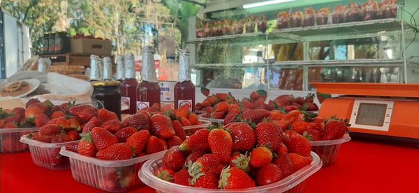 Frutillas de Areguá llegan a Hernandarias - ABC en el Este - ABC Color