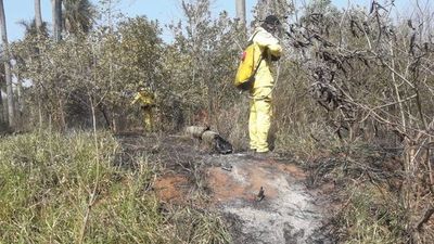 Bomberos voluntarios alertan sobre flyers falsos pidiendo donaciones  - Noticiero Cardinal - ABC Color