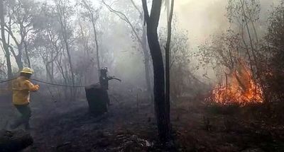 Bombero forestal:“Hekopeỹ oñemyendy a mansalva ñu” ganadero-kuéra. - ABC Remiandu - ABC Color