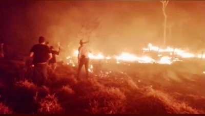 Incendios siguen ocasionando serios daños en Concepción
