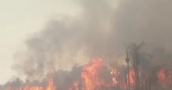 La Nación / Combaten al fuego en el parque Cerro Corá