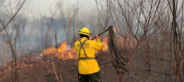 El país arde y principales entes dicen que son solo “apoyo” y reconocen que insuficiente - Nacionales - ABC Color