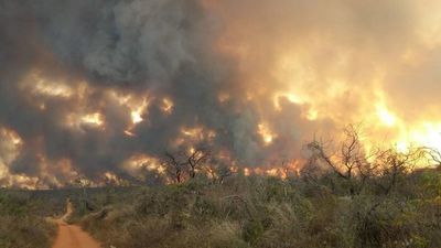 El fuego llega a campos ganaderos del país y aumenta la preocupación