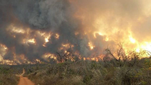 El fuego llega a campos ganaderos del país y aumenta la preocupación