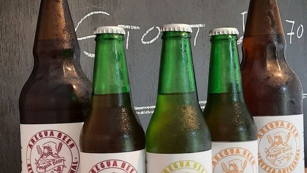 La cerveza artesanal, la favorita de los fanáticos cerveceros