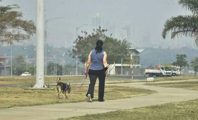 El humo es dañino para los bronquios, pulmones, ojos y hasta el corazón - Nacionales - ABC Color
