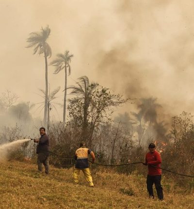 Predominio de ambiente caluroso y vientos moderados del norte | OnLivePy