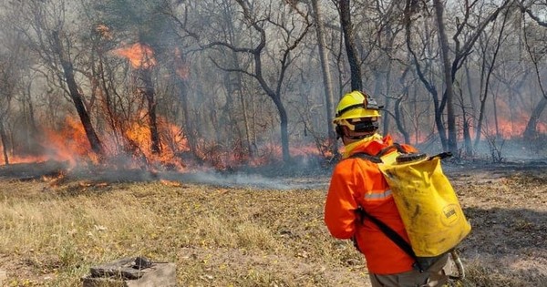 La Nación / Paraguay en llamas: “El parque Cerro Corá fue afectado en un 70%”, según Mades