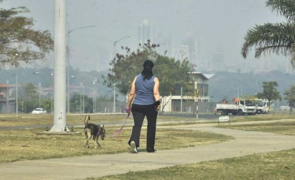 El humo es dañino para bronquios, pulmones, ojos y hasta el corazón