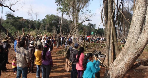 La Nación / Campesinos atacan con machetes y palos a trabajadores de la estancia Pindó