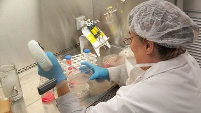 El plasma de convaleciente al inicio del Covid-19 no frena su progresión