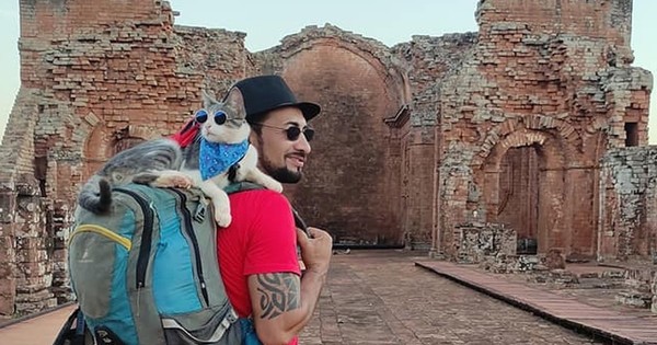 La Nación / Gato mochilero: colombiano asegura que Bella fue envenenado pese a resultados de necropsia