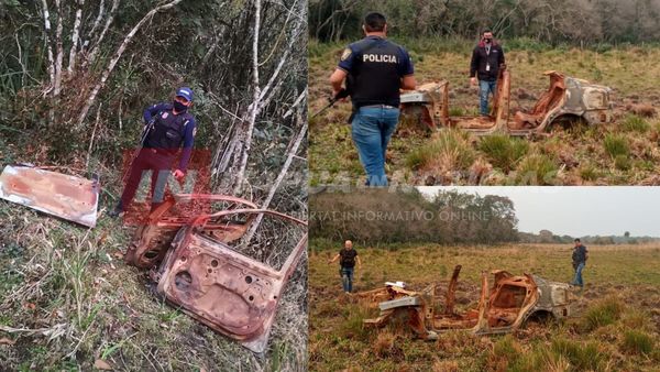 INVESTIGADORES HALLAN RESTOS DE UN VEHÍCULO EN UN CAMPO.