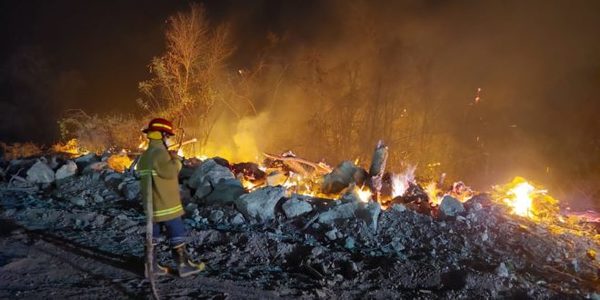 Trabajadores batallan contra el fuego y rescatan a animales