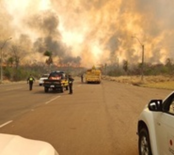 Incendio forestal arrecia en Parque Cerro Corá - Paraguay.com