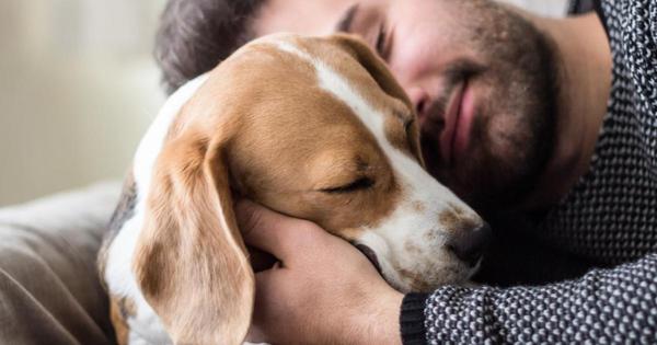 Un gran beneficio a la salud mental: ¡Abrazar a nuestros perros!