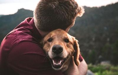 Un abrazo a nuestro perro disminuye el estrés y la nostalgia, según estudio