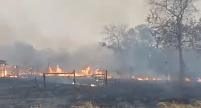 CUIDADO: INCENDIOS FORESTALES PUEDEN CAUSAR DAÑOS EN EL ORGANISMO