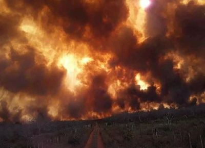 Vecinos intentan aplacar incendio cerca de Horqueta con lo que tienen a mano - Nacionales - ABC Color