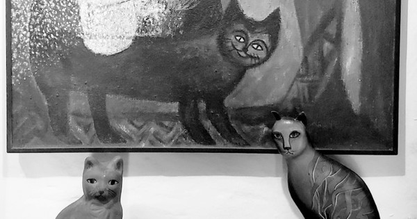 La Nación / “Gatos de barrio” (primera parte)