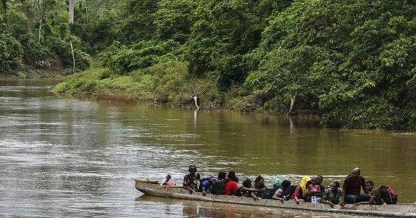 La Nación / La jungla del Darién en Panamá, una trampa mortal para los migrantes