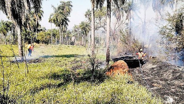 Cordillera también afectada por incendios de pastizales