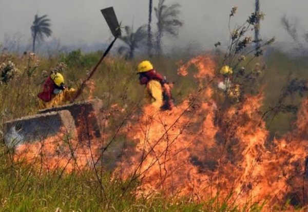 Diario HOY | Paraguay se prepara ante el avance del fuego en Bolivia