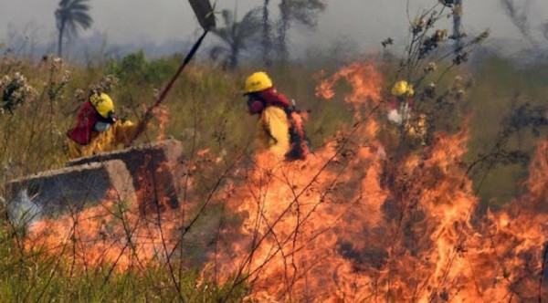 Paraguay se prepara ante el avance del fuego en Bolivia - Noticiero Paraguay