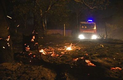 Controlan incendio aparentemente provocado en San Antonio - Nacionales - ABC Color