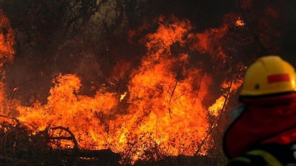Paraguay refuerza medidas y se prepara ante el avance del fuego en Bolivia