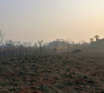 Utilizarán avión hidrante para sofocar incendio en el parque Cerro Corá | Ñanduti