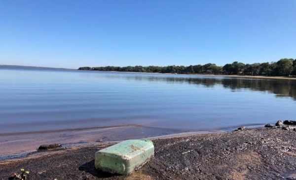 Diario HOY | Incendios en área protegida ponen en riesgo la mejoría del Lago Ypacaraí