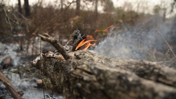 Piden respetar y mejorar leyes para evitar más incendios forestales