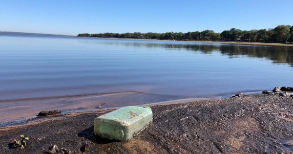 La Nación / Incendios en área protegida ponen en riesgo la mejoría del Lago Ypacaraí