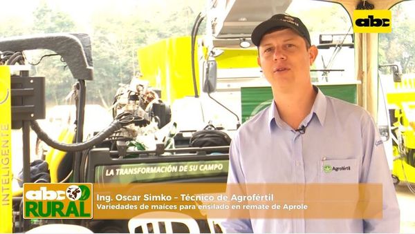 ABC Rural: Maíces híbridos en remate de Aprole - ABC Rural - ABC Color