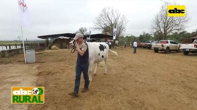 ABC Rural: Ventajas de adquirir ejemplares lecheros con genética definida   - ABC Rural - ABC Color