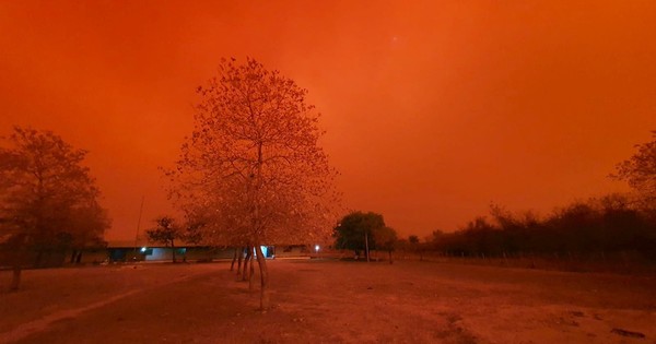 La Nación / Personal de la SEN, bomberos y militares buscan evitar ingreso de fuego desde Bolivia al Chaco