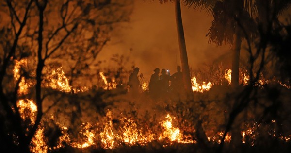 La Nación / Incendios, sequía y bajante se intensifican con más frecuencia