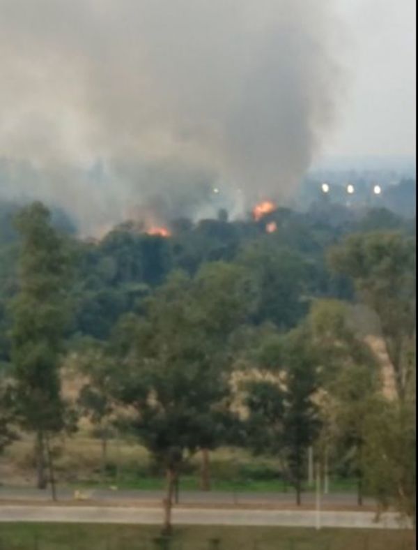 Incendio de pastizal en la zona del Complejo Surubi’i - Nacionales - ABC Color