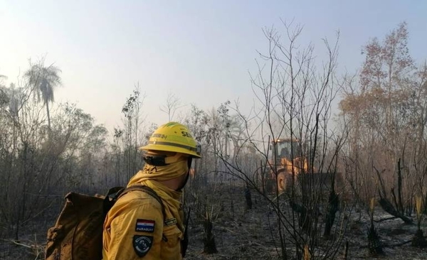 Diario HOY | Continúa intensa labor para combatir incendio en el Parque Nacional Cerro Corá