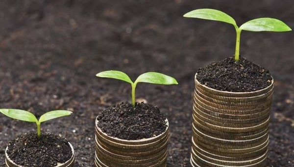 8 negocios agrícolas rentables que emergen a nivel mundial (y se pueden emprender en Paraguay con poca inversión)