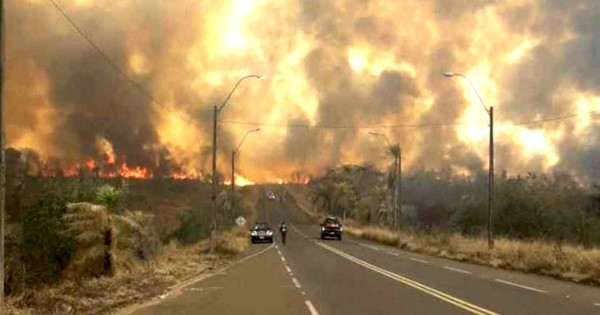 La Nación / El fuego consumió el 50% del Parque Nacional Cerro Corá