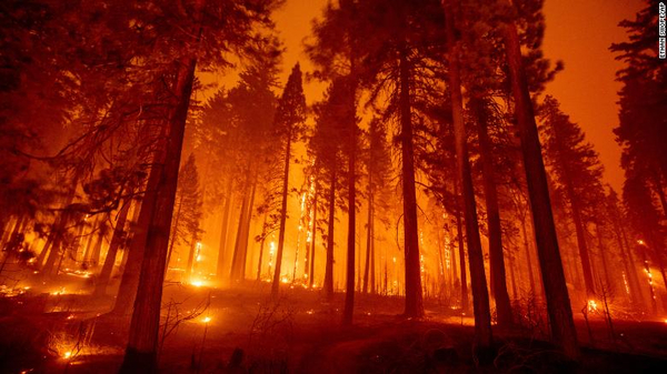 Estados Unidos: un incendio en el norte de California crece fuera de control | .::Agencia IP::.