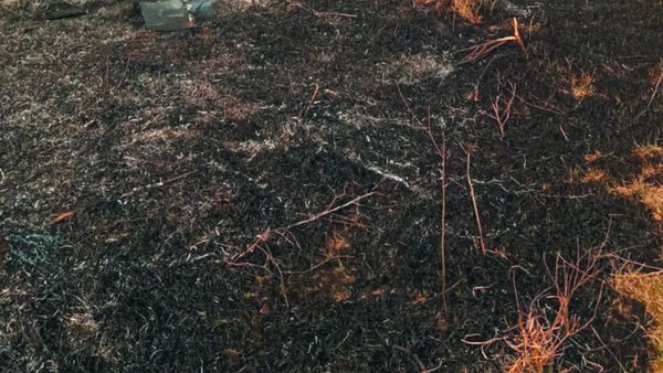 Tres fallecidos en Belén: jóvenes grabaron un video tomando antes de accidente