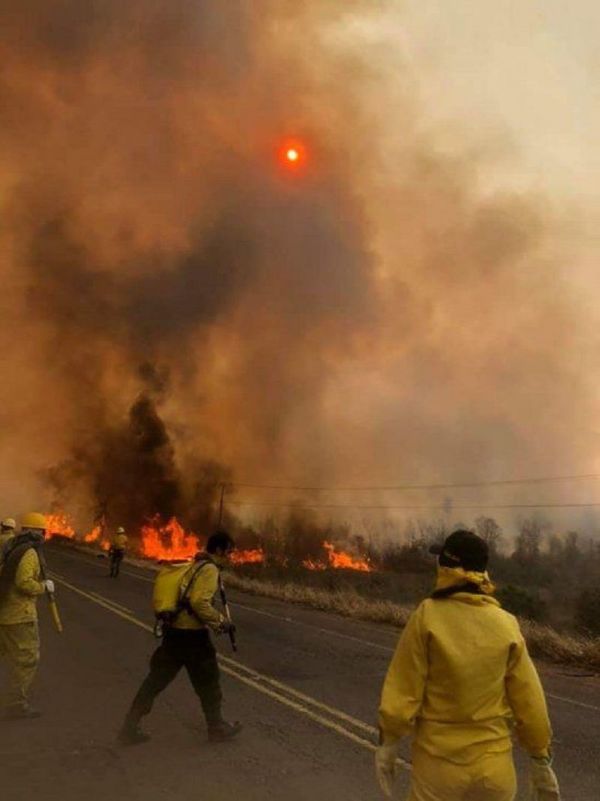 El fuego ya consumió más de la mitad del Parque Nacional Cerro Corá
