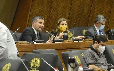 Diputados confirman reunión con representantes de Gafilat