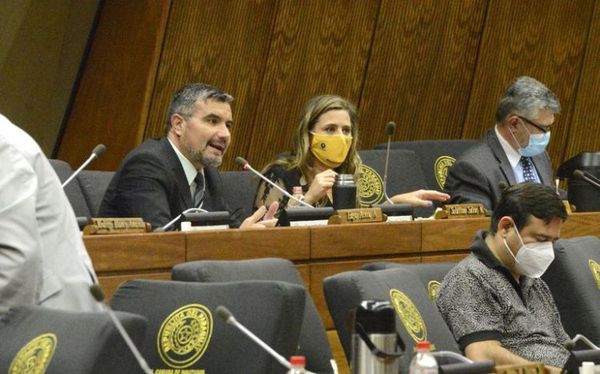 Diputados confirman reunión con representantes de Gafilat
