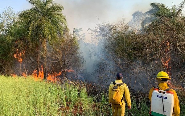 En promedio se reporta cinco focos de incendios por día en Minga Guazú - La Clave