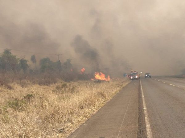 Fuego ya consumió casi la mitad del Parque Nacional Cerro Corá en Amambay