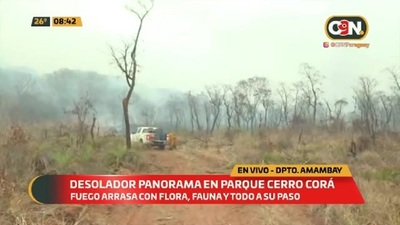 Recorremos el Parque Nacional Cerro Corá - C9N